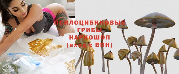 PSILOCYBIN Армянск
