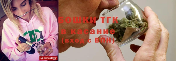 сатива Аркадак