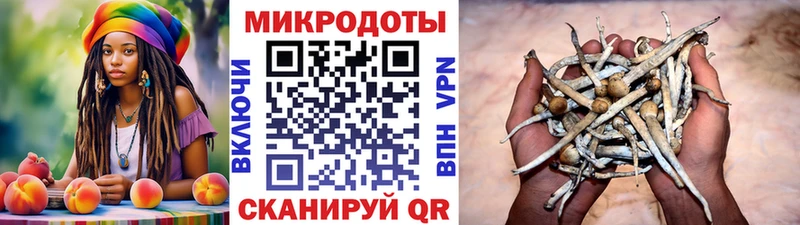 Галлюциногенные грибы GOLDEN TEACHER  Мензелинск 